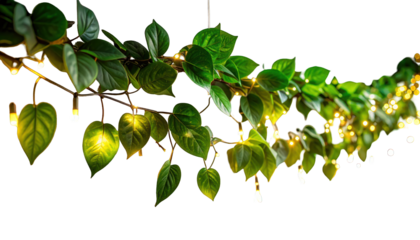 A vine of vibrant green leaves entwined with tiny, warm, glowing lights