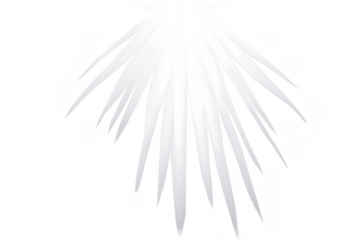 White light rays spreading down in a bright beam or spotlight effect on transparent background