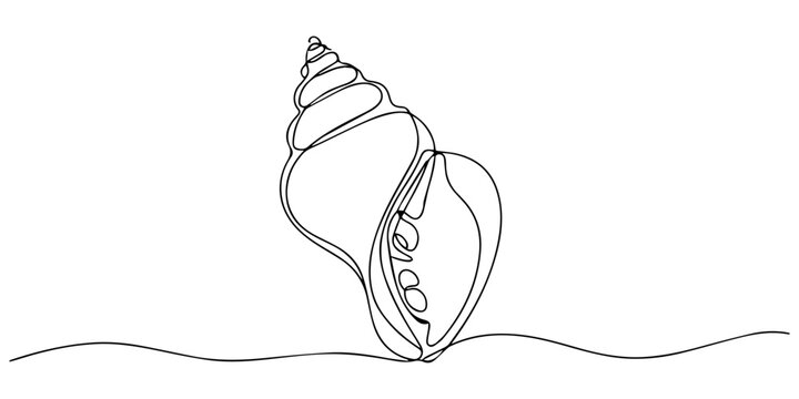 Continuous one line drawing of conch snail shell. Marine animal concept continuous line art. Single line art, One line art of a detailed clam shell, minimalist sea texture design, Oyster shells, pro.