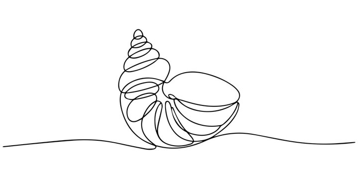 Continuous one line drawing of conch snail shell. Marine animal concept continuous line art. Single line art, One line art of a detailed clam shell, minimalist sea texture design, Oyster shells, pro.