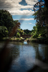 Fototapeta premium lake in the forest