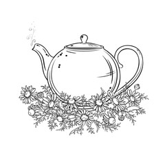 Chamomile Tea in Teapot aroma beverage Outline Illustration. Vector isolated for Design and Decoration for Cafeteria, Posters, Banners, Cards.