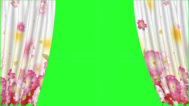 Elegant white curtains with traditional pink floral and cherry blossom designs opening to reveal a green screen. Keywords: curtains, opening, drapes, floral, pink, flowers, cherry blossoms, sakura, Ja