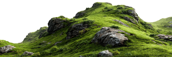 Grassy knoll with scattered rocks, isolated view