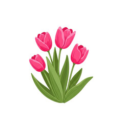 Fototapeta premium Radiant Tulip Bloom: A cluster of vibrant pink tulips stands gracefully, their petals unfurling in a display of spring beauty and delicate form.