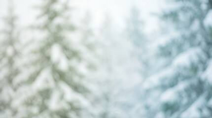Soft focus background showcasing frosted evergreen tree branches during a gentle winter snowfall