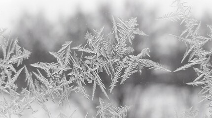 Intricate fern-like frost patterns form delicate crystalline structures upon a cold windowpane surface.