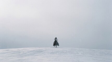 Solitary evergreen tree stands proudly atop a vast, windswept hill covered in snow