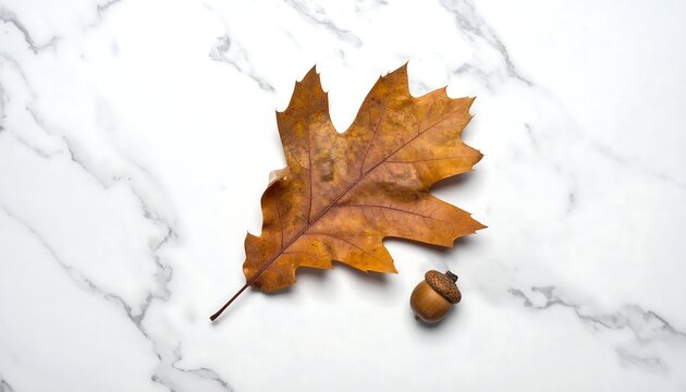 Autumn leaf and acorn on marble (1) - Powered by Adobe