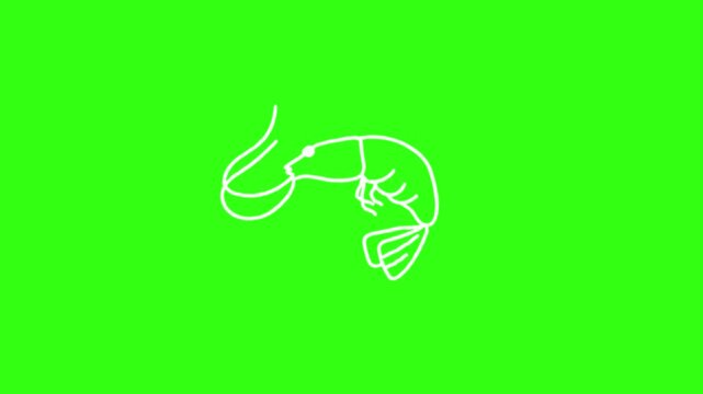 Shrimp minimalist animation on green screen