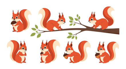Series of cute red squirrels in various poses some holding acorns while sitting on branches for wildlife and nature themes.