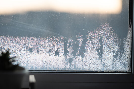 Water droplets form on a windowpane, showing high humidity levels inside a room. Proper ventilation can help reduce moisture and fight mold growth in homes.