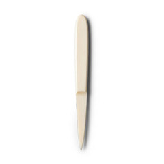 Studio Shot of Elegant Bone Folder Tool