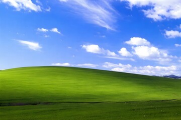 green grass and blue sky