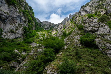A mountain range with a lush green valley in between. The valley is full of trees and plants, and the sky is clear and blue. Concept of peace and tranquility, as well as the beauty of nature