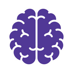 Obraz premium Brain Illustration Vector