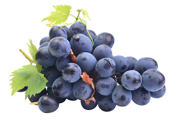 Bunch of grapes isolated