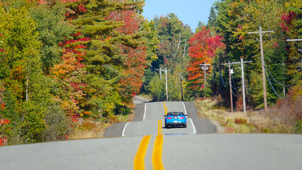 Obraz premium Light blue Mustang cruises down the empty road running through colorful forest.