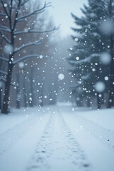 A serene winter path through a snow-covered forest during a gentle snowfall