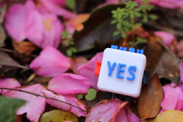 YESの文字が書かれたキューブと自然の背景