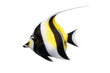 Moorish idol tropical fish swimming, displaying distinctive black, yellow, and white banded patterns, with transparent background