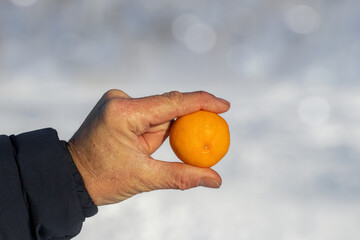 A man holds a ripe unpeeled tangerine in his hand.Tangerine ripening season.