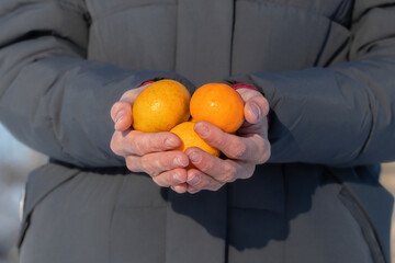 Young girl holding tangerines in her hands on a winter walk.
