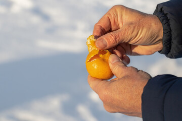 A man on a walk in a winter park peels a tangerine to eat.
