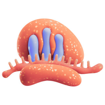 3D illustration of a ribosome translating mRNA with polypeptide chains mRNA translation