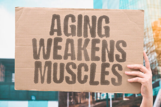 "Aging Weakens Muscles" Years reduce pelvic floor strength. YEARS. REDUCE. PELVIC. FLOOR. STRENGTH.