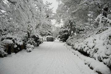 Winter, Schnee, Landschaft