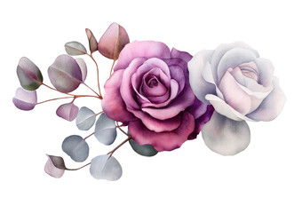 Purple and White Roses Watercolor on Clear Background