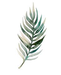 Watercolor Tropical Leaves Design on Transparent Layout