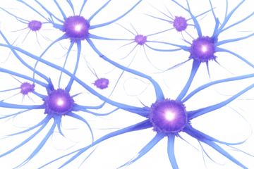 Neurons firing, communicating in a complex neural network, brain activity and cognitive function simulation, transparent background