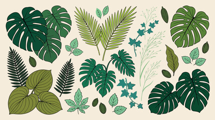 Vibrant tropical leaves collection featuring monstera deliciosa, palm, fern, and philodendron foliage in a botanical illustration style on a light background