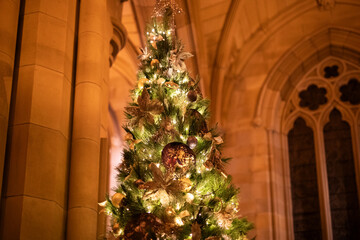 Festive Christmas tree glows grand historic building