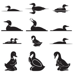 Silhouette Duck and Loon Vector Collection  Swimming, Sitting and Praying Poses
