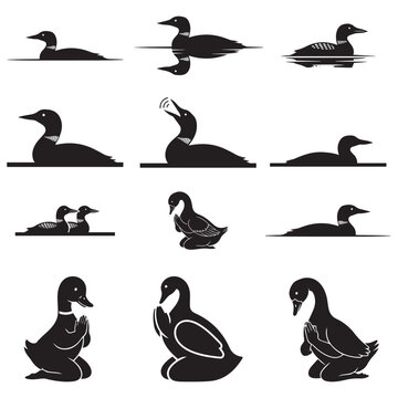 Silhouette Duck and Loon Vector Collection  Swimming, Sitting and Praying Poses