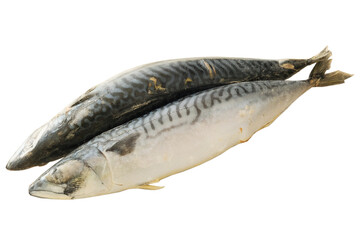 Fototapeta premium Raw two mackerel carcasses on white background. Iced Fish. Ready to cooking. Frozen fish. Top view.