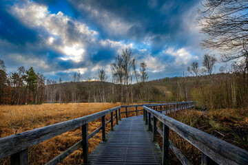Holzsteg &uuml;ber das Moor am Berliner Teufelssee.