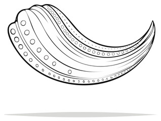 Fototapeta premium Minimalist Seashell Illustration with Circles and Lines, Marine Element, Vector Outlines for Creative Designs