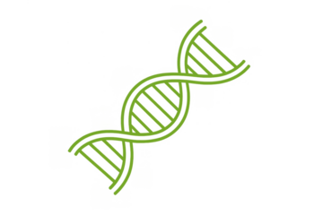 Green dna double helix structure representing genetic science, biological research, heredity, and medical innovation, with transparent background