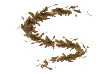 Dried pampas grass forming elegant s shape on transparent background, decorative natural element