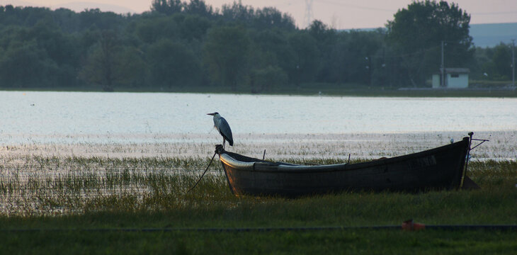 A view from Lake Manyas in Balikesir, Turkey.
