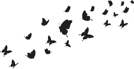 Butterfly Swarm Silhouette &ndash; Elegant Flying Butterflies Black Vector on White.