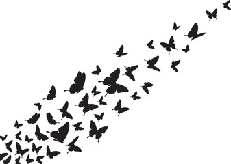 Butterfly Swarm Silhouette &ndash; Elegant Flying Butterflies Black Vector on White.