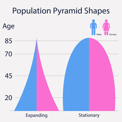 Population Pyramid Chart Showing Age and Gender Structure