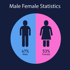 Male Female Population Pie Chart Statistics