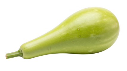 Light green bottle gourd with stem on black background calabash lagenaria siceraria