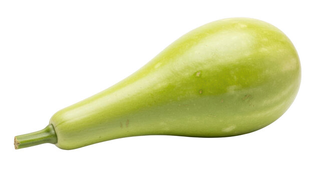 Light green bottle gourd with stem on black background calabash lagenaria siceraria